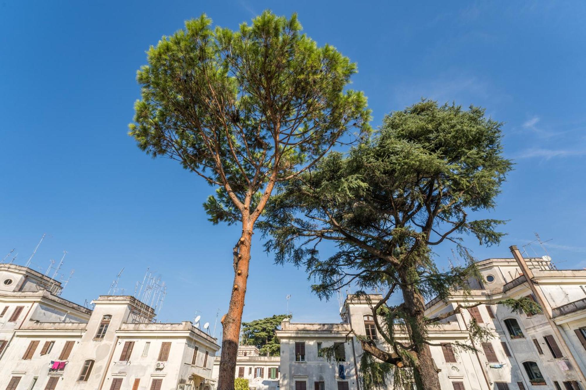 Fisher'S Apartment In Testaccio Rome Buitenkant foto